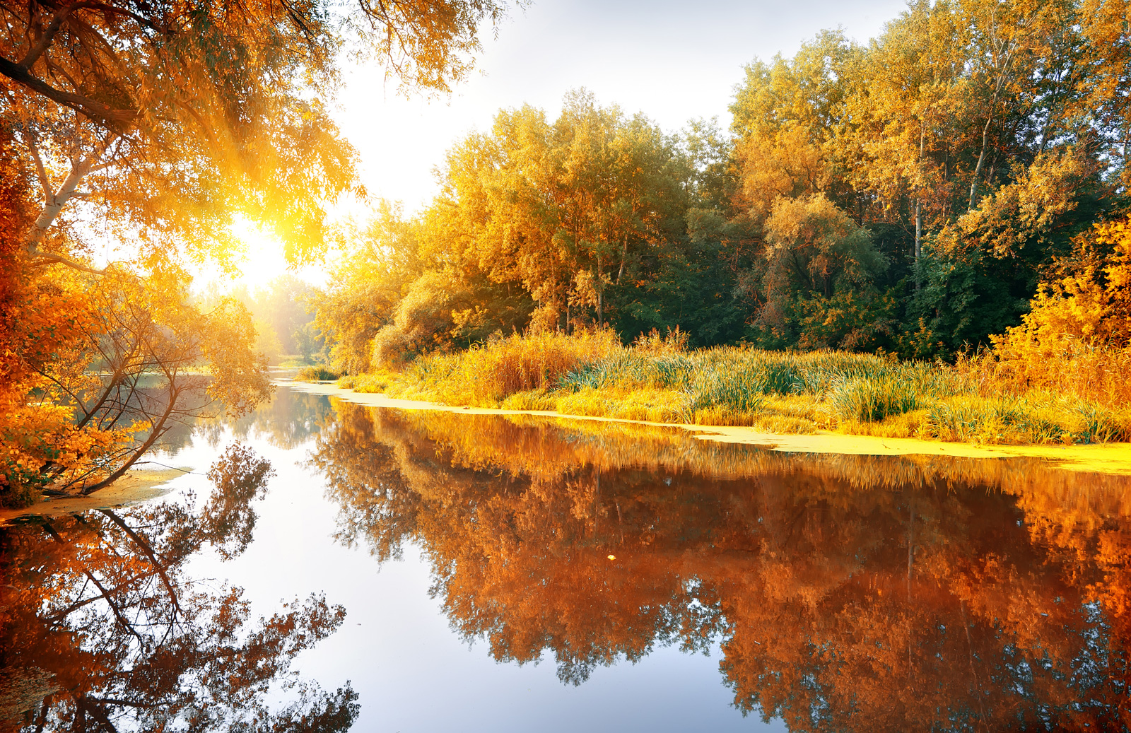 Ruhige Flusslandschaft